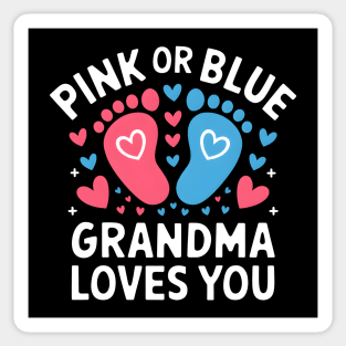 Pink or Blue Grandma Loves You Sticker